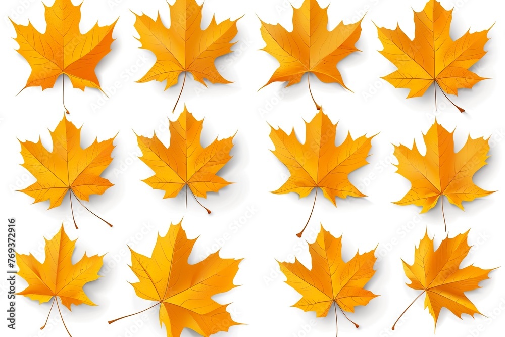 autumn leaves background autumn leaves background