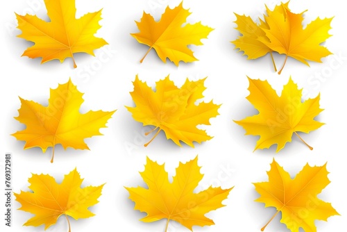 autumn leaves background