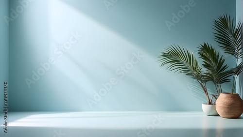 Blurred shadow from palm leaves on the light blue wall