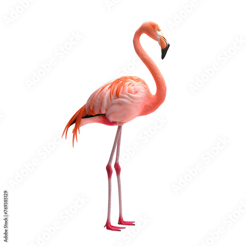 flamingo standing isolated on transparent background Generative Ai