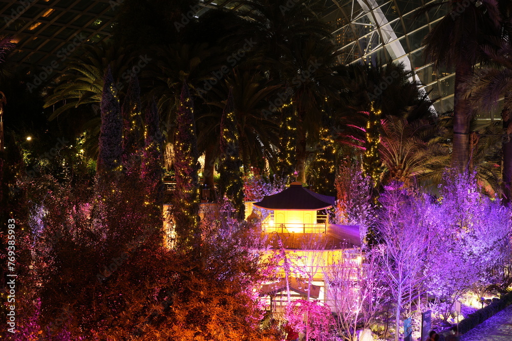 Fototapeta premium house at night