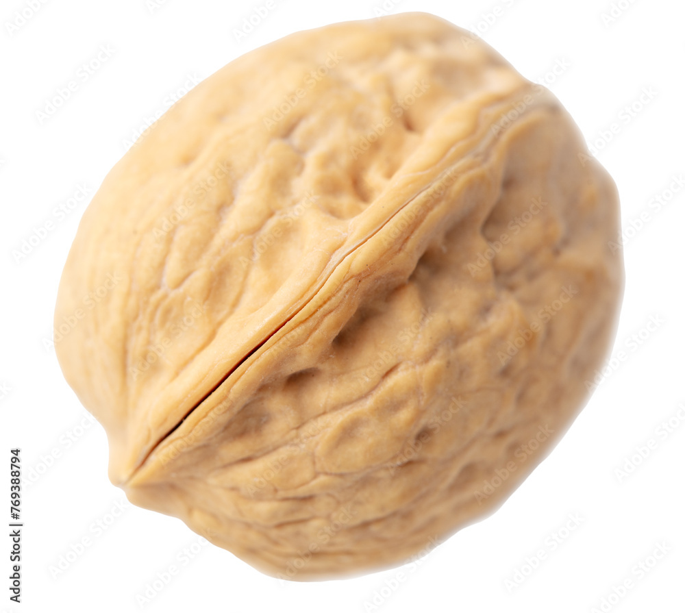 Walnut isolated white background