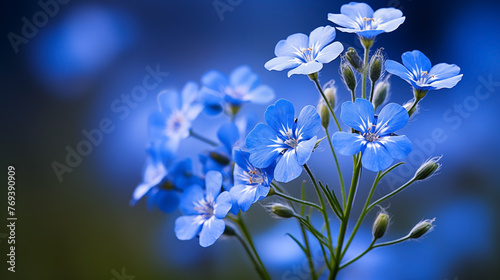 Bright blue flowers stand out against a soft-focus blue background