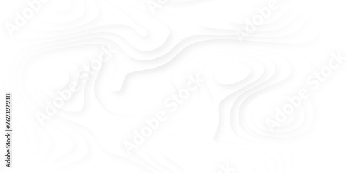 Abstract papercut and multi layer cutout geometric pattern soft smooth lines curving to form a surface of light and shadow. Vector textured Papercut