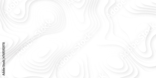 Abstract papercut and multi layer cutout geometric pattern soft smooth lines curving to form a surface of light and shadow. Vector textured Papercut