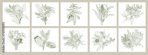Wildflower line art bouquets set. Hand drawn flowers, meadow herbs, wild plants, tropical plants, botanical elements for design projects. Big set with flowers in frame illustration.