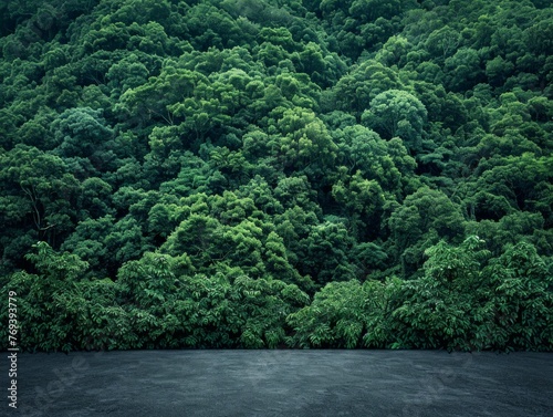 An empty parking lot stretches out in front of a lush forest, with towering mountains in the background, creating a serene and calm atmosphere.