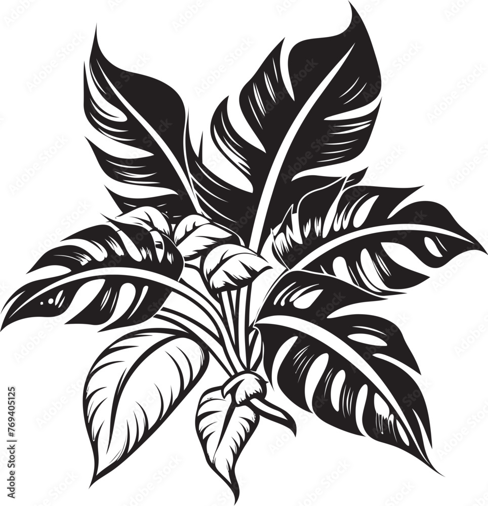 Obraz premium Jungle Canopy Chic Grand Leaves with Black Emblematic Logo Tropical Leaf Serenity Large Foliage, Black Vector Emblem