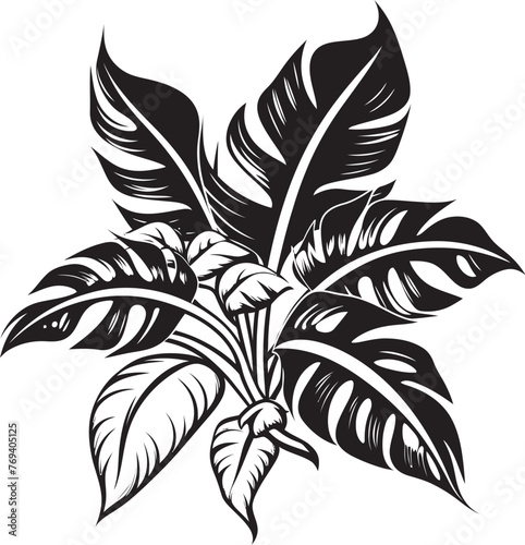 Jungle Canopy Chic Grand Leaves with Black Emblematic Logo Tropical Leaf Serenity Large Foliage, Black Vector Emblem