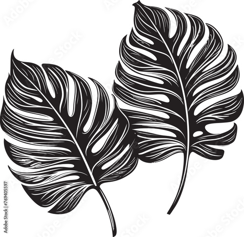 Tropical Leaf Majesty Oversized Leaves, Vector Emblem Design Exotic Foliage Finery Large Tropical Leaves, Black Icon