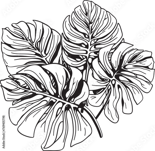 Rainforest Radiance Grand Tropical Leaves, Vector Icon Tropical Leaf Ensemble Large Leaves, Black Vector Logo