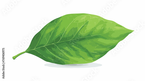 Green leaf isolated on white..