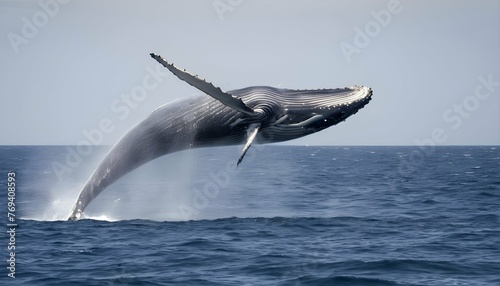 A Blue Whale With A School Of Fish Swimming In Its © sergo77