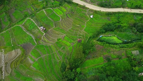 Aerial view of the rice fields.beautiful landscape view and mountain of  viswema is a southern angami naga village in the kohima district of the indian state of nagaland.