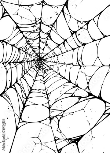 Vector illustration of a Coweb for halloween decoration. Spooky Vibes. Web. Spider. photo