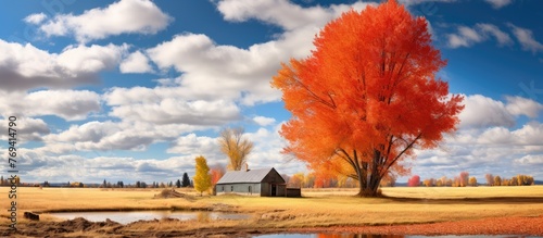 A vibrant redleaved tree stands in the center of a natural landscape, surrounded by a field under a clear sky. The scene creates a picturesque artistic horizon