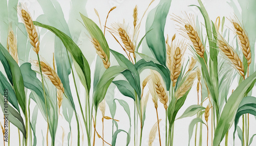 assemblage of wheat and jade abstract watercolor swashes isolated on a transparent background colorful background photo