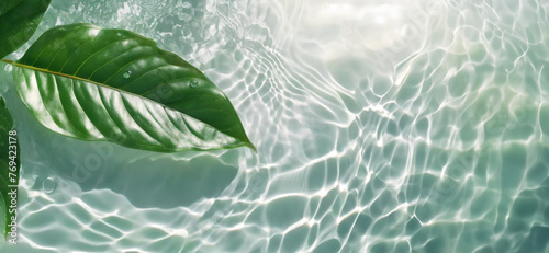 Transparent and clean white water and one green leaf background sunlight reflection, top view