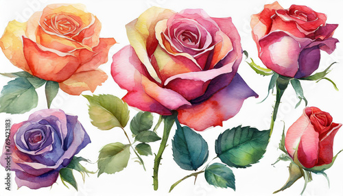 Watercolor rose clipart in various colors and angles.