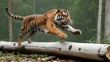 A Tiger Leaping Over A Fallen Log