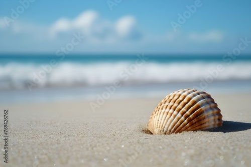 Seashell at Sunset on Sandy Beach with Ocean Waves 