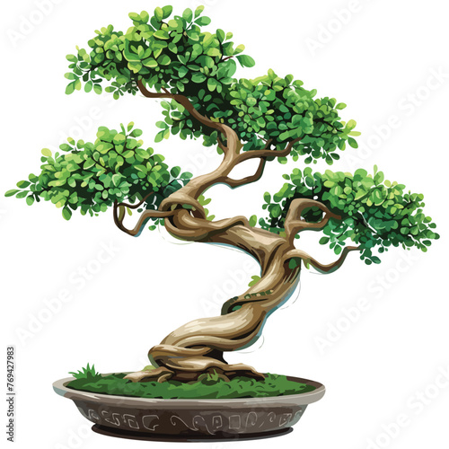 Bonsai Tree Clipart  isolated on white background