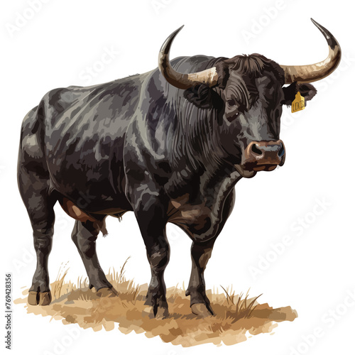 Bull Clipart isolated on white background