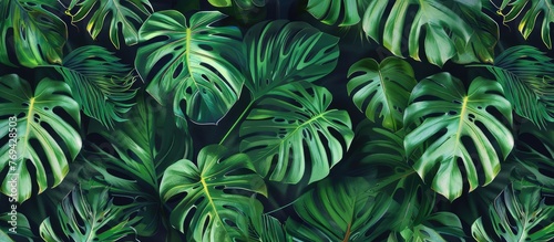 Wallpaper Mural Tropical Monstera Leaves Seamless Pattern Torontodigital.ca