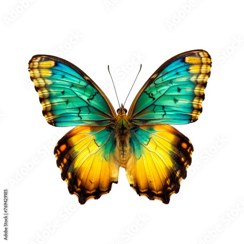 Beautiful butterfly on a transparent background, colorful, blue, yellow, green and orange. © Evgeniia