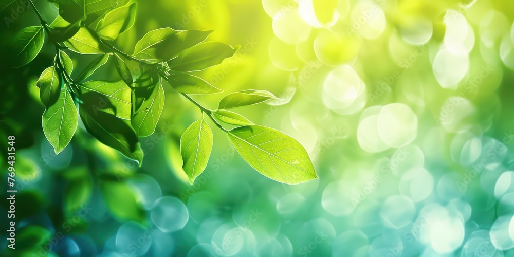 Generate an image of abstract nature background Generate an image of abstract nature background