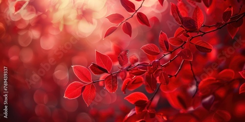 Generate a photo of red nature background