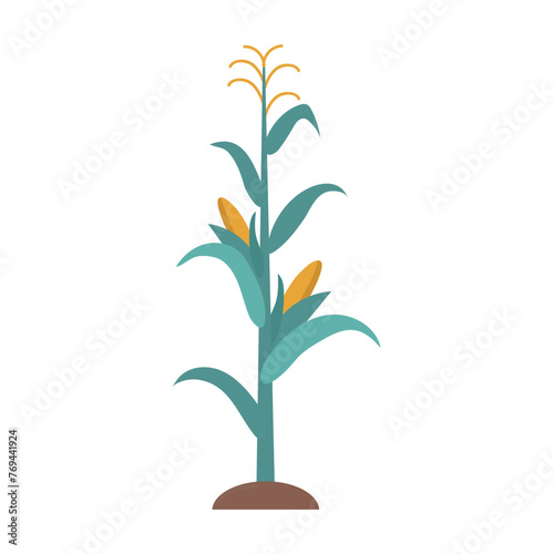 Corn stalk icon clipart avatar logotype isolated vector illustration