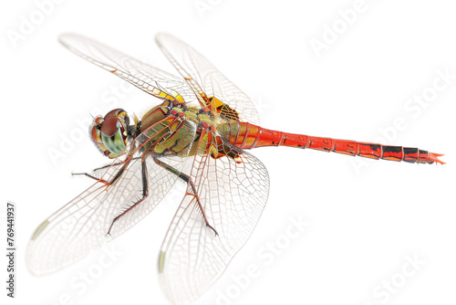 Dragonfly's Elegance on Transparent Background
