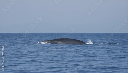 A Blue Whale With A School Of Dolphins Swimming Al