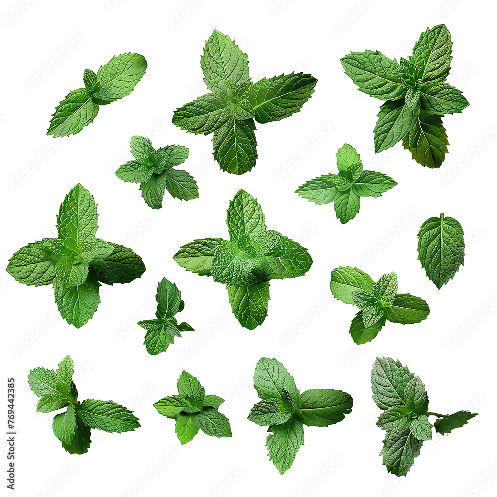Collection of fresh mint leaves isolated on a Transparent Background. Generative AI Collection of fresh mint leaves isolated on a Transparent Background. Generative AI