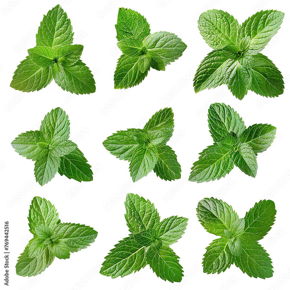Collection of fresh mint leaves isolated on a Transparent Background. Generative AI Collection of fresh mint leaves isolated on a Transparent Background. Generative AI