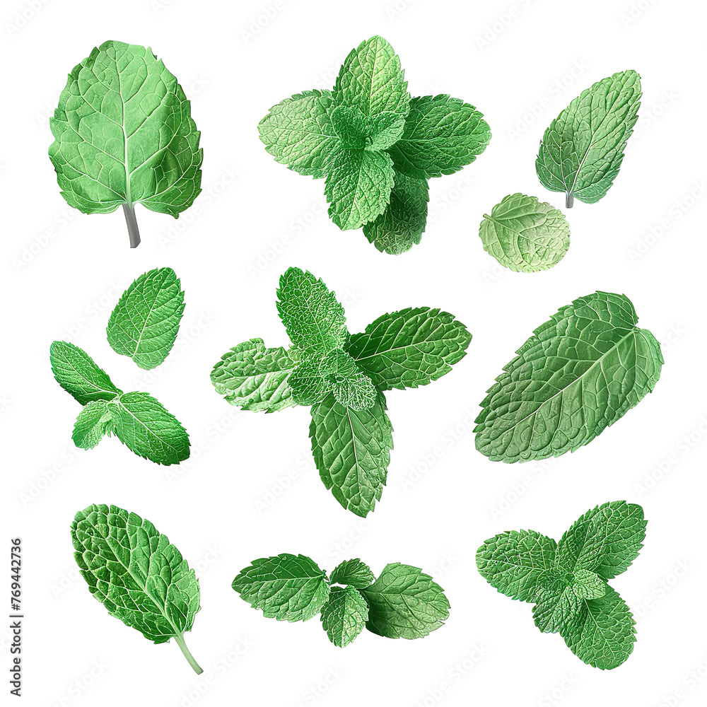 Collection of fresh mint leaves isolated on a Transparent Background. Generative AI Collection of fresh mint leaves isolated on a Transparent Background. Generative AI