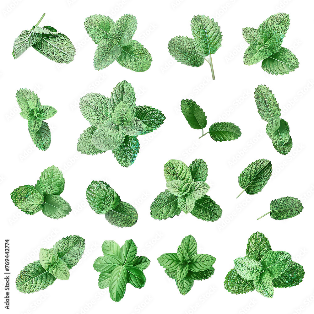 Collection of fresh mint leaves isolated on a Transparent Background. Generative AI Collection of fresh mint leaves isolated on a Transparent Background. Generative AI