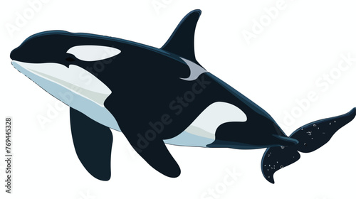 Orca flat vector isolated on white background