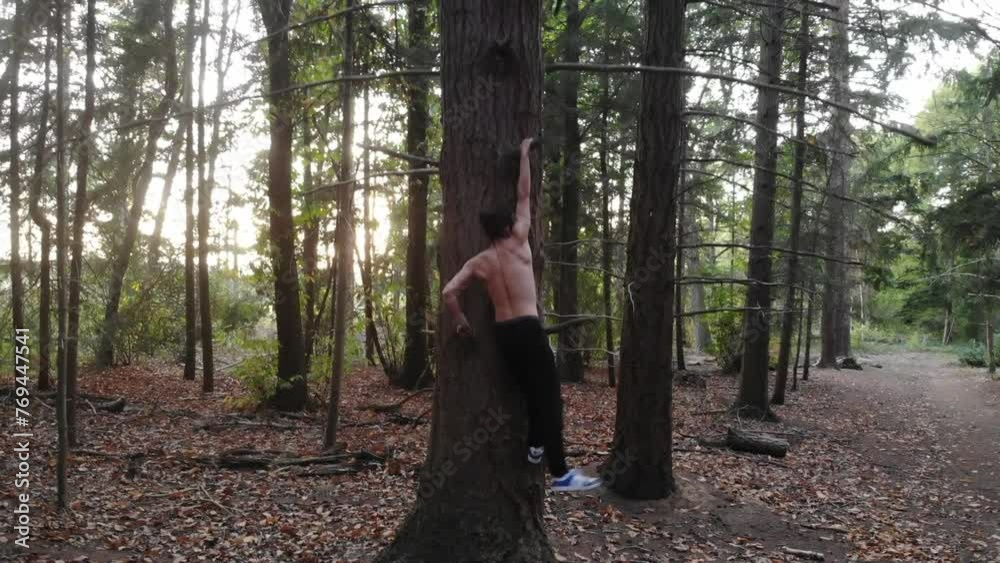 Tree climbing Tree climbing