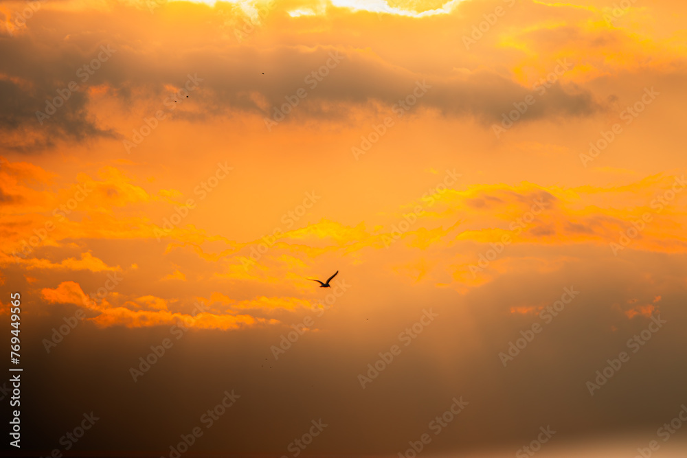 View of the Dnieper city during a beautiful sunset or sunrise. Warm days in the city. Interesting view. Ukrainian city in 2024. Beautiful sky. View of the Dnieper city during a beautiful sunset or sunrise. Warm days in the city. Interesting view. Ukrainian city in 2024. Beautiful sky.