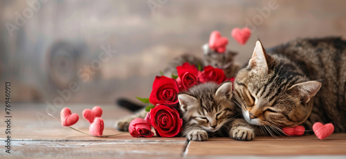 Cat and her kitten sleeping surrounded by hearts and roses. Postcard and web banner for Mother’s Day © kovaleva_ka