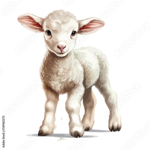 Baby Sheep Clipart clipart isolated on white background © Mishab