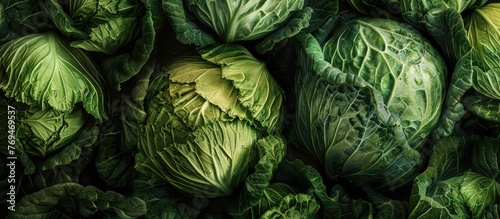 Detailed view of cabbage