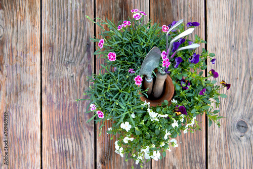 Rake and gardening shovel amidst potted flowers on wet wooden table after rain