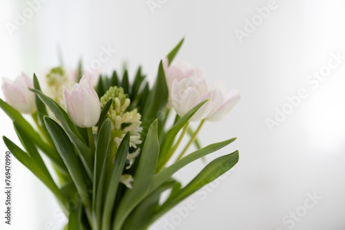 Blumen mit weiß-grauem Hintergrund, Hintergrundbild, Sliderbild