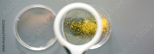 Close up of magnifying glass over golden glitter sample on petri dish in pharmaceutical lab. Dangers in microplastics composition concept. Analysis of small plastic particles present in cosmetics.