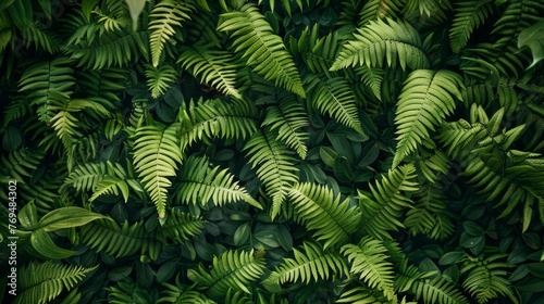 Detailed view of green plant leaves on forest floor  soft focus background