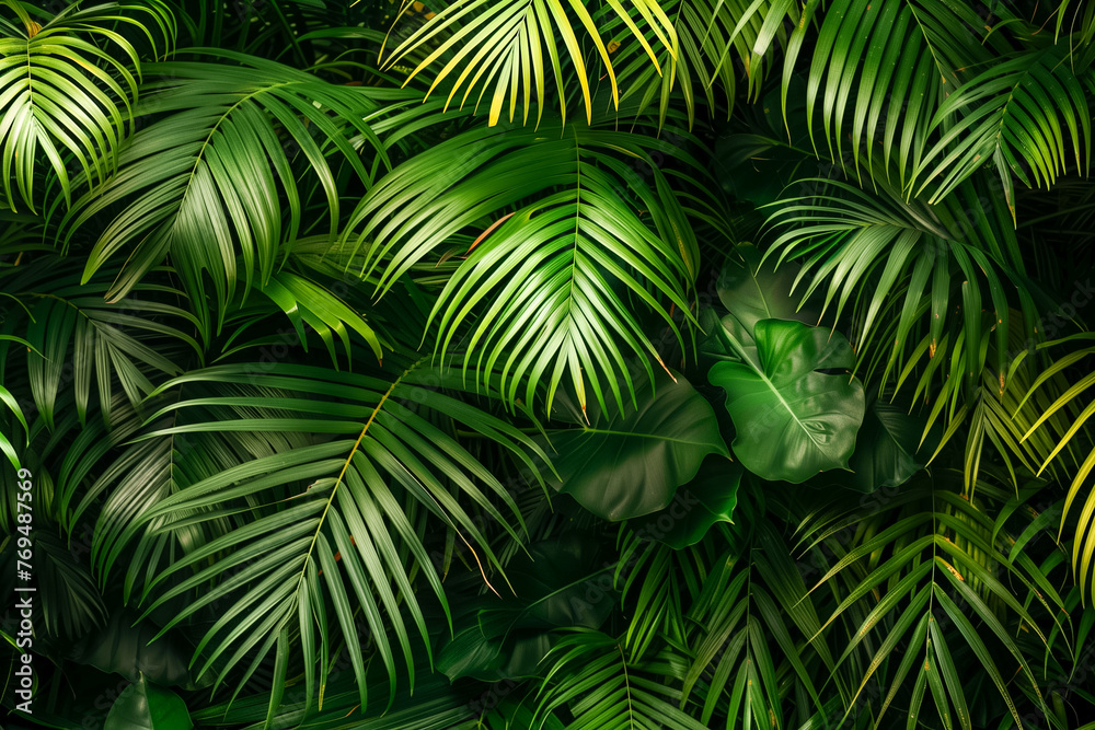 Obraz premium Fondo de hojas verdes