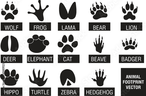 Lama, bear, cat, frog, zebra, tiger, elephant and tortoise footprints set. Editable vector wild animal footprints for poster, banner designing. Easy to change color or manipulate. eps 10 photo